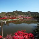 강진허브 이미지