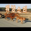 28.워낭 소리 이미지