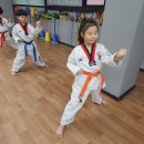 광명연세정도태권도장 이미지