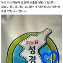 포털,TV에 잘 안보이는 뉴스 2개 퍼옴 이미지