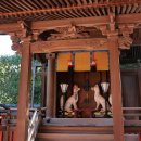 일본 Tour ( 8 ) * 교토 [ 이나리 신사(神社) 이미지