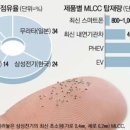 대조-009 이미지