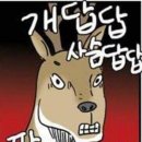 에덴병원 이미지