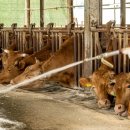 (주)사료회관 이미지