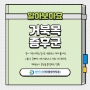 춘천우리마취통증의학과의원 네이버블로그
