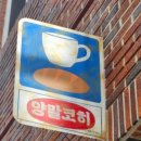 양말코히 이미지