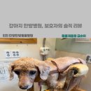 동물제중원금손이 동물병원 이미지