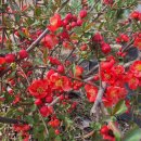 일도농장 이미지