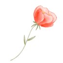 마포초교병설유치원 이미지