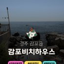 감포비치하우스 | 경주 감포 바다 바로 앞에서 해루질이 가능한 감포비치하우스 숙소