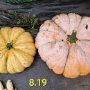 북성농장 이미지