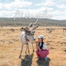 초원세탁 | 몽골 여행 일정 홉스골 몽골 패키지 여행 노라투어 게르 후기