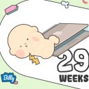 진관동 자치회관 정보화교실 | 보건소 토요예비부모교실 :: 아가를 만나기 전 듣기 좋은 수업/ 신청 방법 / 수업후기 /보건소 주차 비용