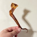 창우식품