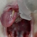 송정동물메디컬센터 이미지