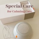 오냥오냥 고양이호텔 이미지