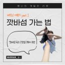 [깟바섬 여행] 하이퐁에서 깟바섬 가는법 | 깟바섬에서 하노이 가는 법 | 깟바섬 숙소 | 깟바섬 맛집