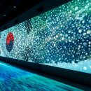 국립대한민국임시정부기념관 이미지