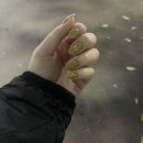 서울장신대학교 예배찬양사역대학원 | 25.11月 기록