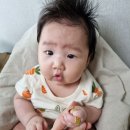 호랭이잔칫상 이미지
