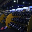 정왕헬스 이미지