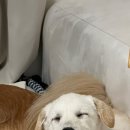 세나농장 이미지