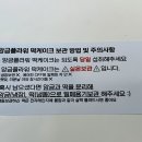 앙그미아 이미지