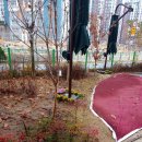 해든학교 이미지