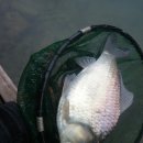 송현낚시터 이미지