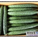 종진농장 이미지