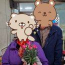 어버이날 카네이션 화분 꽃팡팡 오스카 카네이션 내돈내산 후기