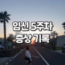 여행시작 - 중구 을지로 50 | 임신 5주차 증상 기록 • 공복 입덧 시작, 제주 여행 후기