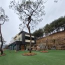 좋은소나무 | 경치 좋은 안성 소나무카페 후기