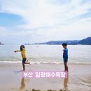 임해행정봉사실 | [아이와] 함께 놀기좋은 부산 일광해수욕장(주차/샤워장/파라솔/오리배/낚시/맛집 정보)