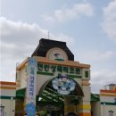 상록태권도 이미지