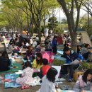 창원 고향의 봄 예술제 네이버블로그