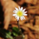 해솔태권도 이미지