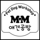 mm애견공방 이미지