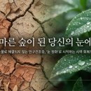 맑은숲한의원 | 울산 안구건조증 치료하는 숲한의원 ft.안구정화시술 후기