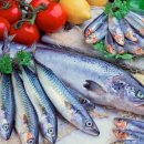 후필라테스 & 피티 이미지