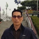 합기도 정도관 이미지