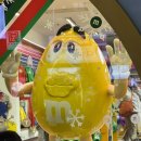 강변자전거길(북) | 중국 상하이 자유여행 4박5일 3일차 난징동루 마라롱샤 배달 고덕지도