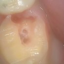 갤러리치과의원 이미지