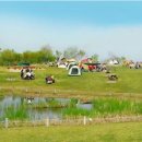 살랑살랑 이미지