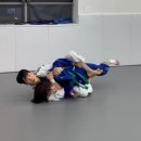 수진 유도 체육관 이미지