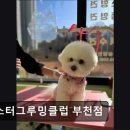 마스터그루밍클럽 네이버블로그