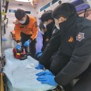 대원인력 뉴시스