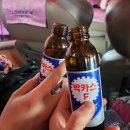 한라산만 보고 떠난 2박 3일 제주 여행 (1) [부제: 먹다 지쳐 잠이 들다]