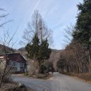 월랑공원(국궁장 옆) | 경아와 함께 떠난 화순 무등산편백휴양림, 편백나무숲, 장성 홍길동 테마파크, 아산 연인산자연휴양림...