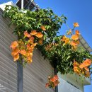 돌산중학교 이미지